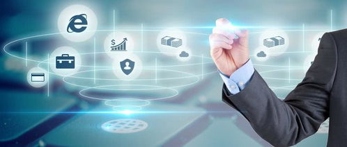 軟件開發和咨詢以及管理高收入人群稅收籌劃