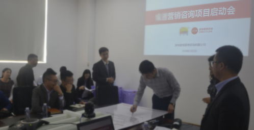 直線管理咨詢案例賞析 打造cb電子四維營銷系統